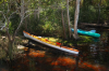 Beached kayaks